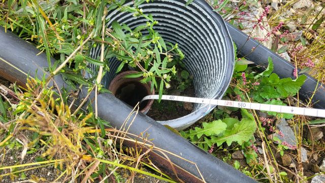 청양 방치공 사진