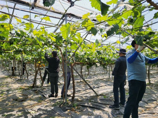 김천시 문화홍보실