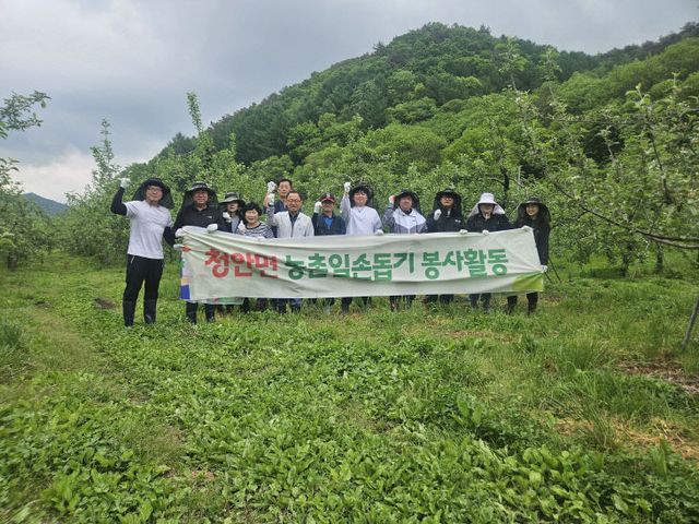 괴산군 청안면, 고령 농가에 일손돕기 봉사 펼쳐 (3)