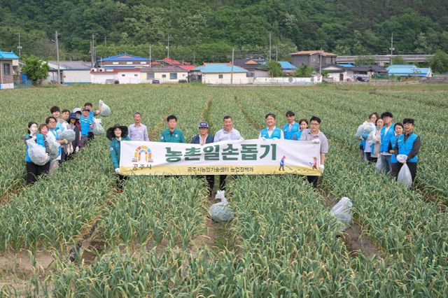농촌일손돕기 사진