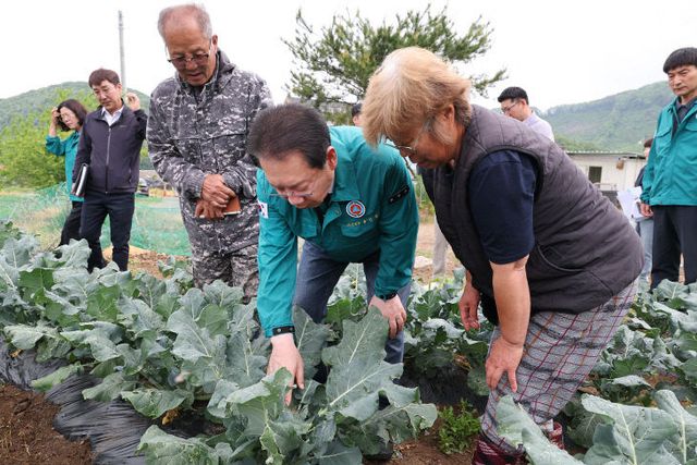 브로콜리 농가를 방문해 현장을 점검하고 농가를 위로하는)