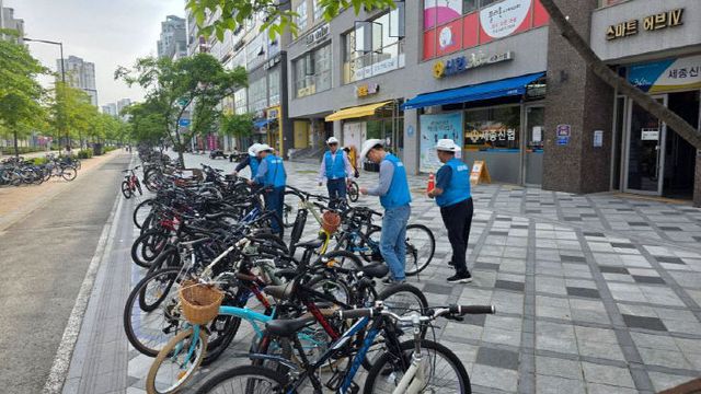 세종시 시니어폴리스