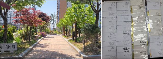 동명초등학교 학교숲 조성사업 전경 및 손편지