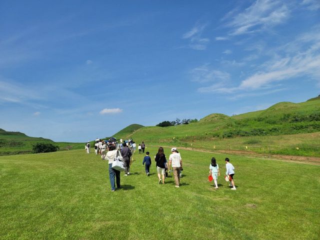 함안박물관,‘古Go 말이산 투어’성료