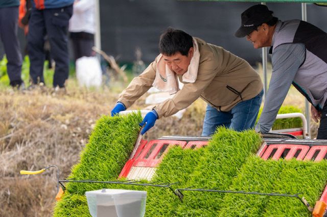 증평군 올해 첫 모내기 행사 사진 3
