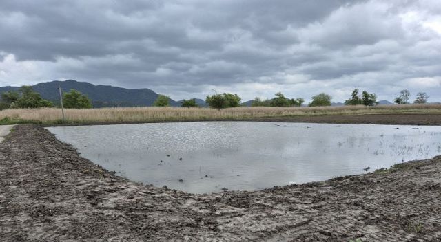 사본 -3 무논습지