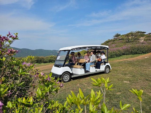 황매산 나눔카트 투어, 7월 1일부터 유료 운영