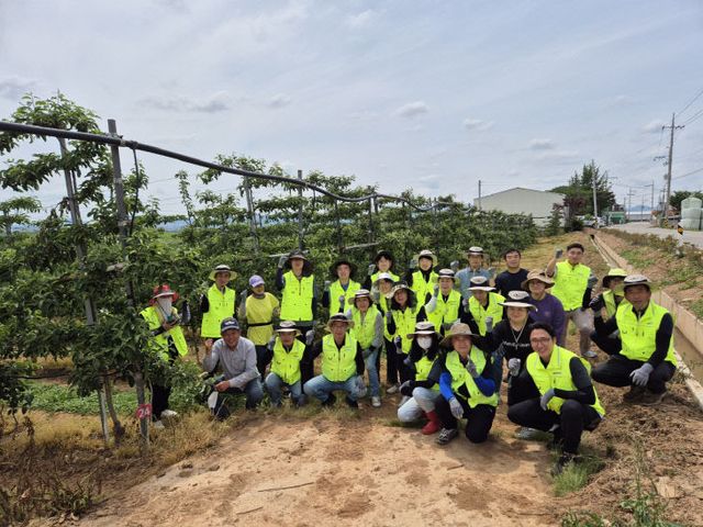 7.농업기술센터 일손돕기 모습 (2)