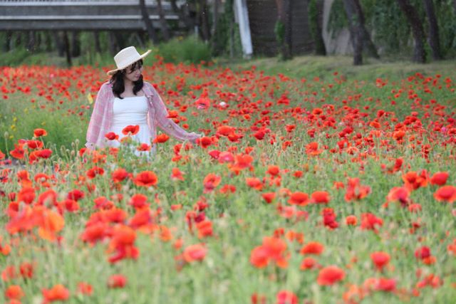 동진천에 핀 양귀비 꽃을 구경하는 방문객 (2)