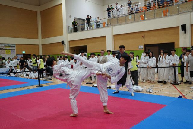 사본 -250522 제23회 전국택견한마당(제22회 택견한마당 사진2)