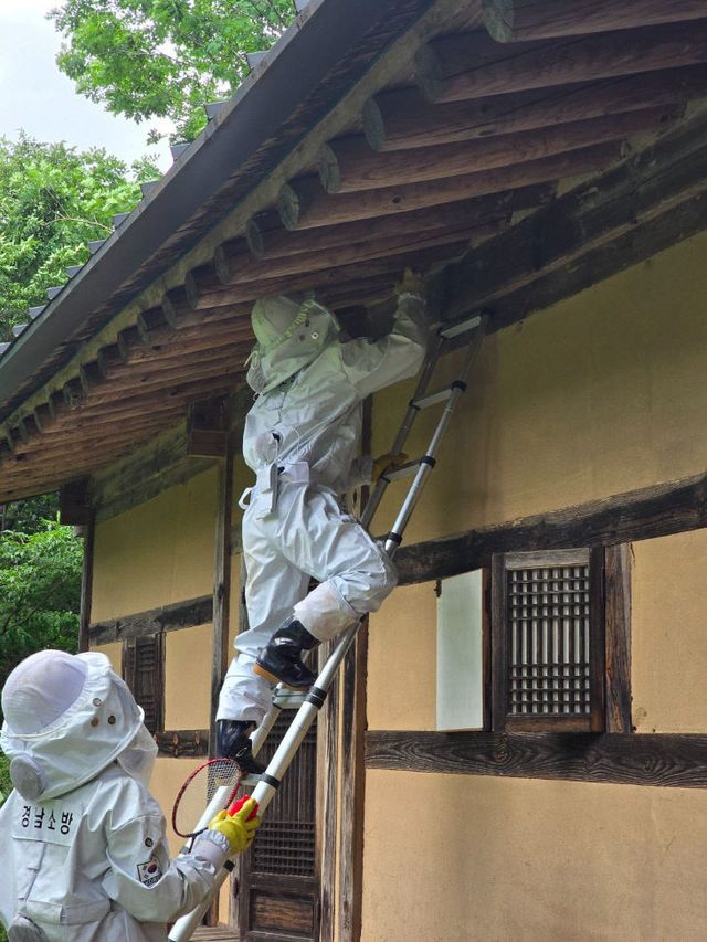 산청소방서,‘벌집 사전 제거 신고제’운영