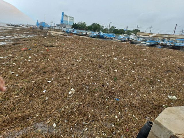 2024년 집중호우 당시 서천 장항항으로 밀려 든 부유쓰레기