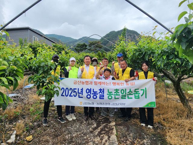 금산농협 일손돕기