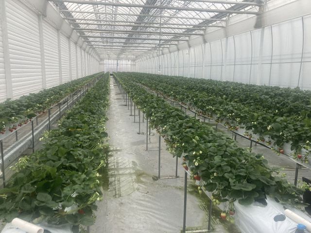 충남형 스마트팜 시설