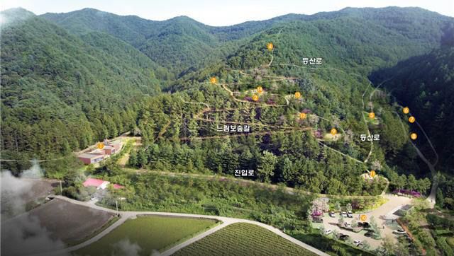 02.1 청주시 ‘옥화 치유의 숲’ 6월말 준공