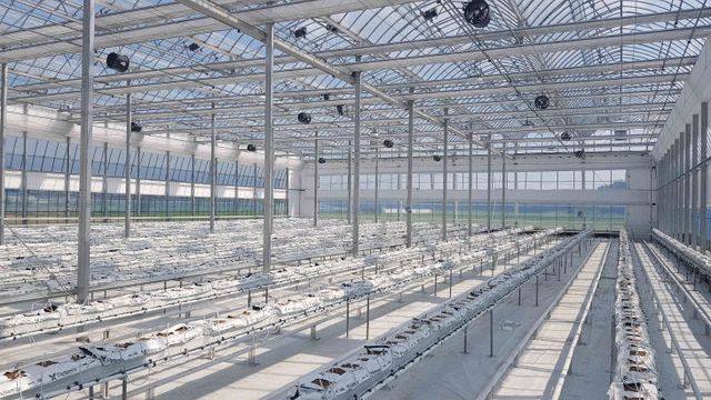 서천군이 조성하고 있는 스마트팜 사관학교 온실 모습