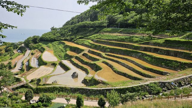 1. 가천다랑이논 보존회 모내기1