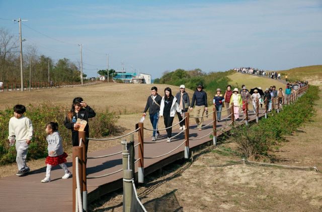 2025 대한민국 사구축제 5