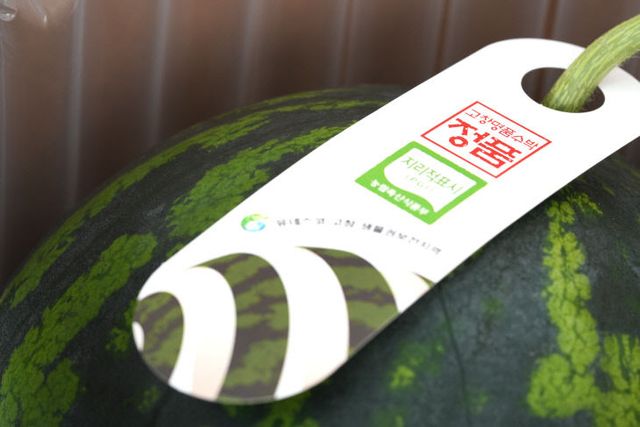 고창명품수박 정품태그2