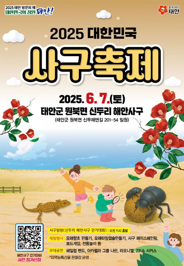 2025 대한민국 사구축제 1