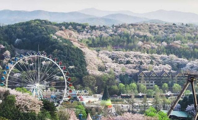250529 1-1. 에버랜드 전경