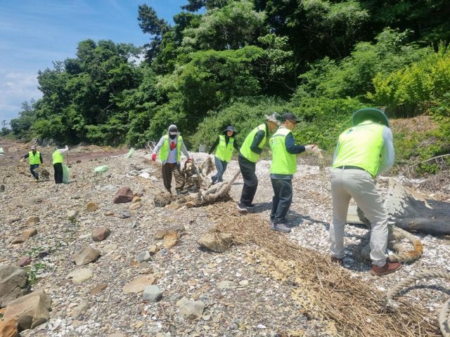 세계 환경의 날, 해양플라스틱 수거 (3)