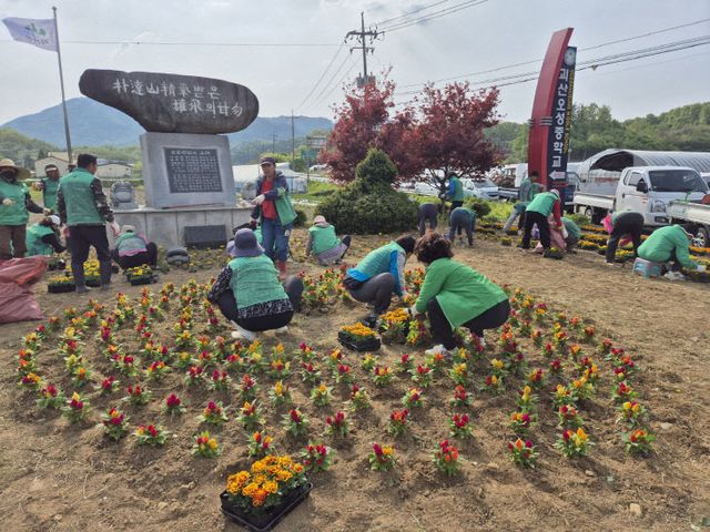 감물면 새마을회, 아름다운 꽃길 만들기 조성