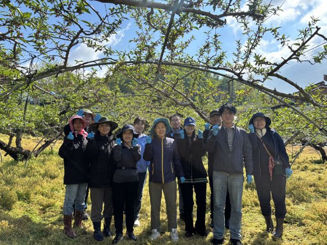 주민복지과 일손돕기(복숭아 적과 작업) (2)