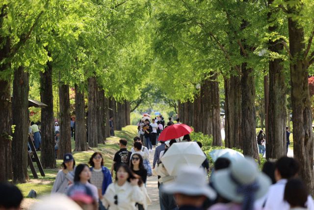 사본 -2 순천만국가정원 (2)