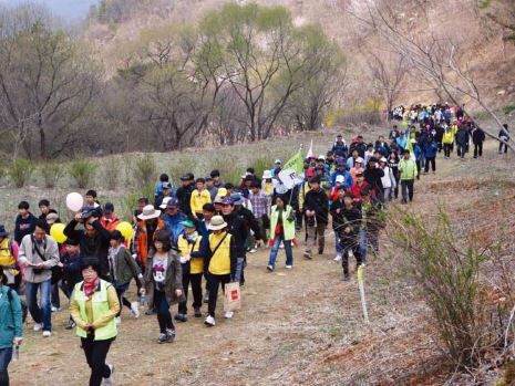사진2. 충남 금산군 산안리 임도