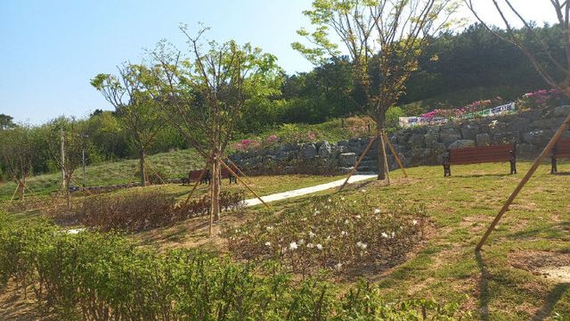 8.예산군립도서관 녹색쌈지숲 조성 사진