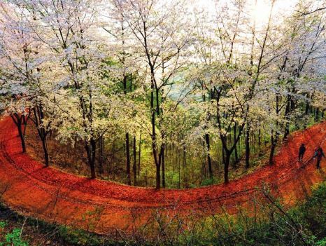 사진1. 대전 계족산 임도