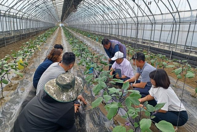 광주시, ‘중소농 농업경영 혁신전략 지원사업’ 본격 추진 (2)