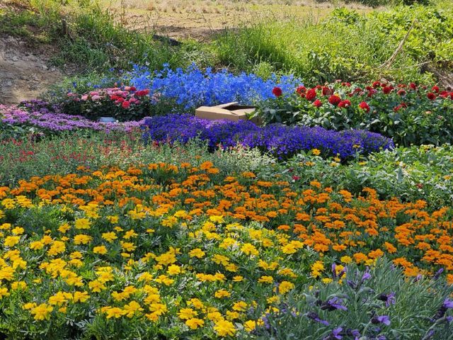 4_고창군 꽃정원단지 1