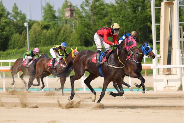 한국마사회, ‘보령라이트퀸’ 경기도지사배(G3) 우승
