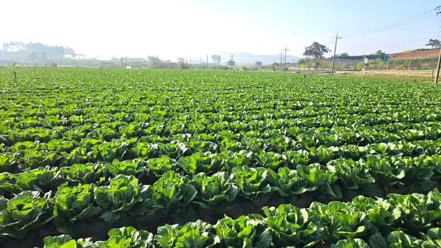 FB_IMG_1749635837543