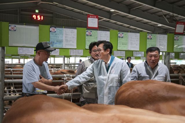0616 도포면 영암축협가축경매시장1