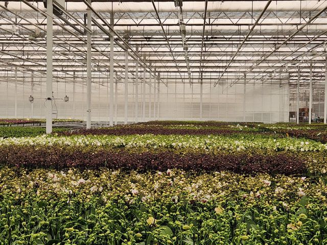 2024122501001864100076031