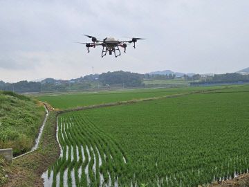 4. 아산시, ‘돌발병해충 긴급방제단’ 본격 가동 (2)