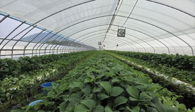 상월면귀농귀촌협의회 공동학습포 전경