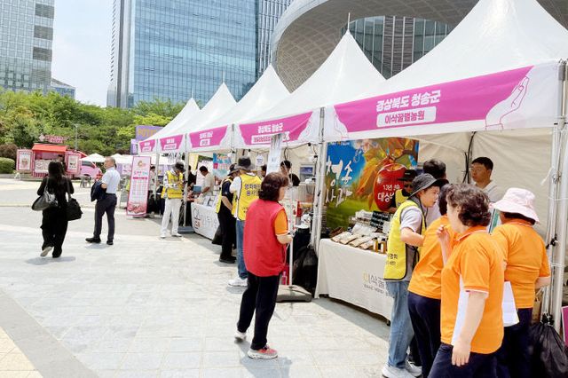 청송군, 산불피해지역 ‘희망장터’ 참여 (4)