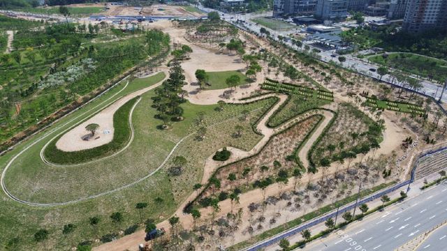 250620 시민참여의숲1