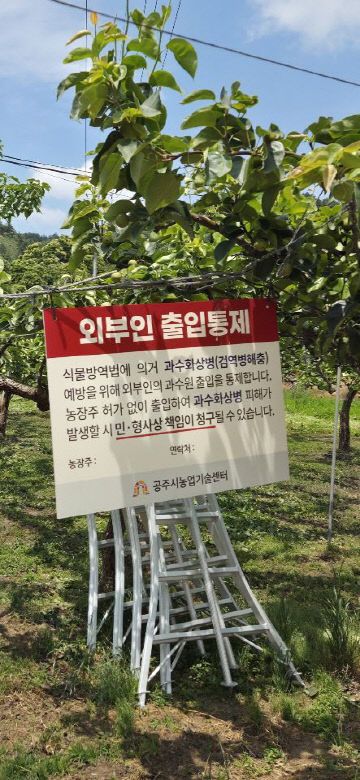 과수화상병 유입 차단 방제약제