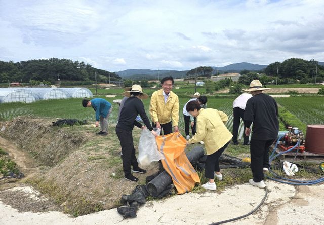 기획예산실, 성송 사내리 당산 주변 환경정비(2)
