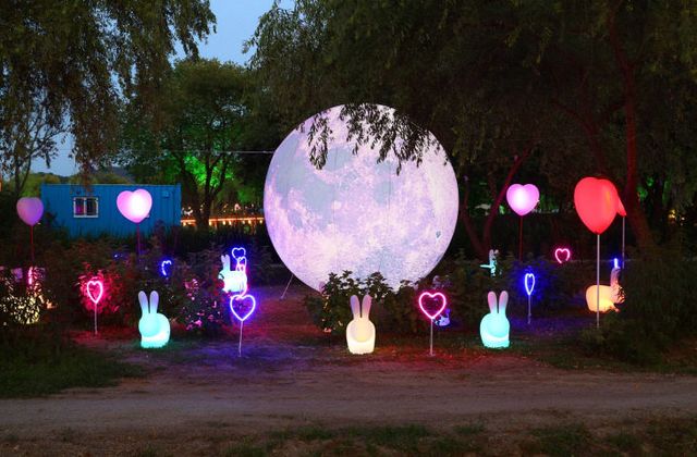 1.부여서동연꽃축제 야경 (4)