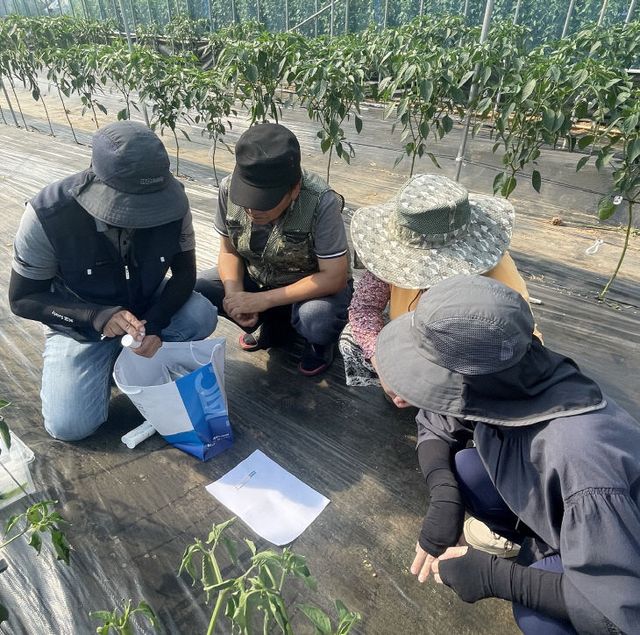 정읍시, 채소 작물 조기 대응 박차