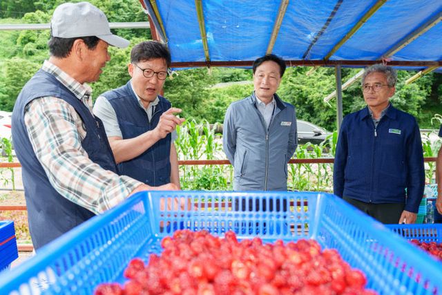 특산품 산딸기 구매지원