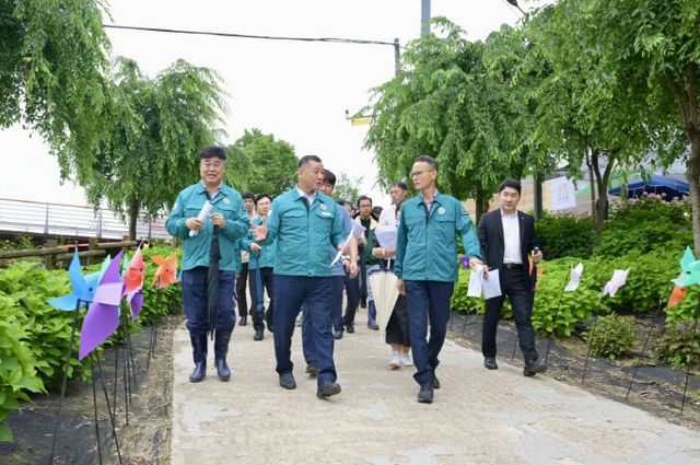 유구색동수국정원 꽃 축제 현장 점검 (2)