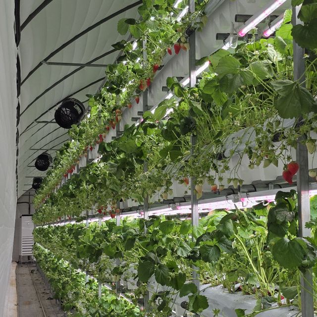 KakaoTalk_20250620_185417399