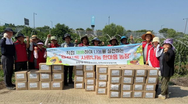 (구와동)7. 고양시 장항1동, 사랑나눔 한마음농장 감자수확